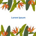 Strelitzia horisontal seamless pattern, Lorem Ipsum. Art design elementstock vector colorful tropical background